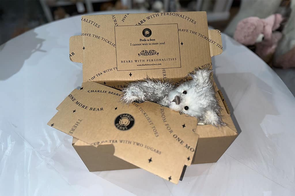 The Packaging Behind the Charlie Bears Charm _ Production Packaging_0001_extend background 3