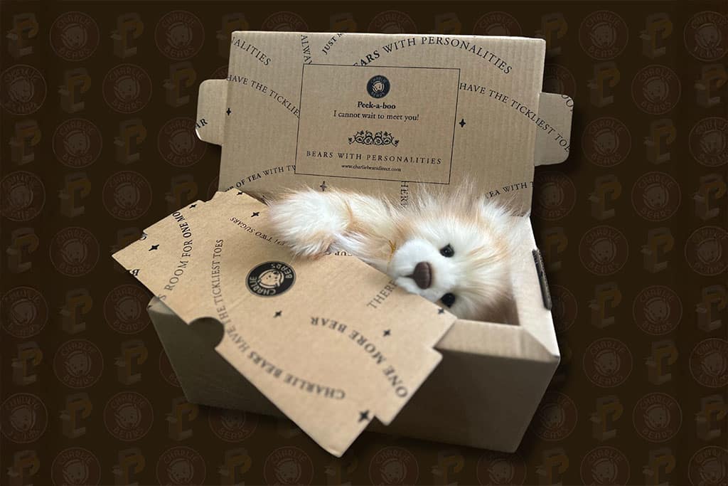 The Packaging Behind the Charlie Bears Charm _ Production Packaging_0003_extend background